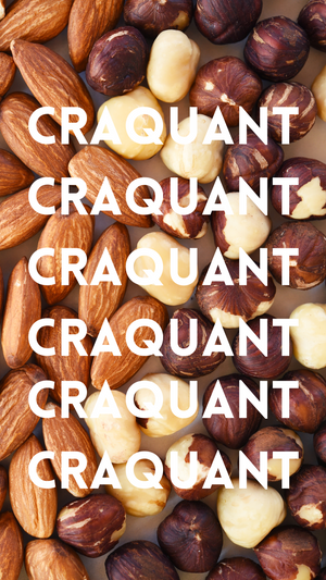 
                  
                    LE FONDANT BAULOIS PRALINÉ CRAQUANT - 300G
                  
                